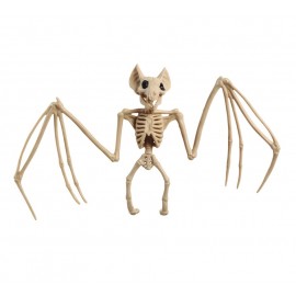 Esqueleto Murcielago 30X16 cm