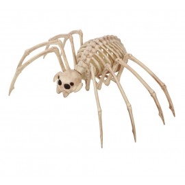 Esqueleto Tarantula 35X20 cm