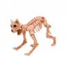 Esqueleto Gato