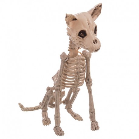 Esqueleto Perro 11 X 48 X 28 Cm