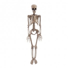 Esqueleto Colgante 20 X 9 X 90 Cm
