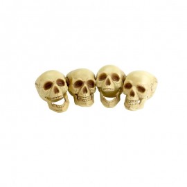 4 Calaveras Sonrisas 4 Calaveras Sonrisas