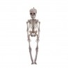 Esqueleto Colgante 11 X 5 X 40 Cm