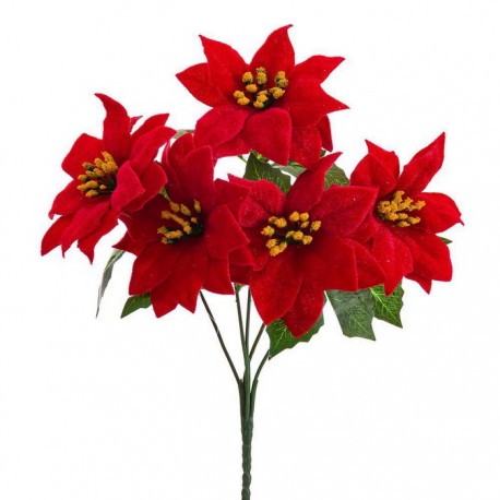 Rama 5 Poinsettia 30 Cm
