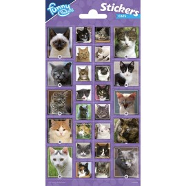 Pegatinas Gatitos 102 x 200 mm Pegatinas Gatitos 102 x 200 mm