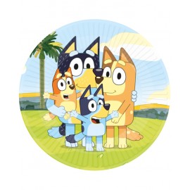 Platos Bluey