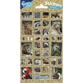 Pegatinas Animales de la Jungla 102 x 200 mm Pegatinas Animales de la Jungla 102 x 200 mm