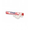 Trex Caremelo Masticable Fresa