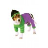 Disfraz Hulk Mascota