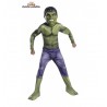 Disfraz Hulk Ragnarok Classic Infantil