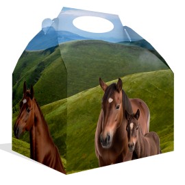Caja Caballo y Pony Caja Caballo y Pony