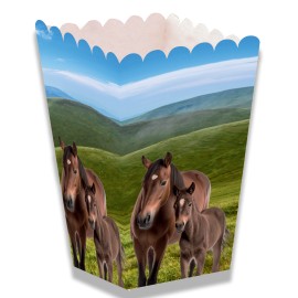 Caja Caballo y Pony de Palomitas Caja Caballo y Pony de Palomitas
