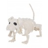 Esqueleto de perro salchicha 55 cm
