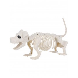Esqueleto de perro 55 cm