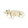 Esqueleto de perro salchicha 55 cm